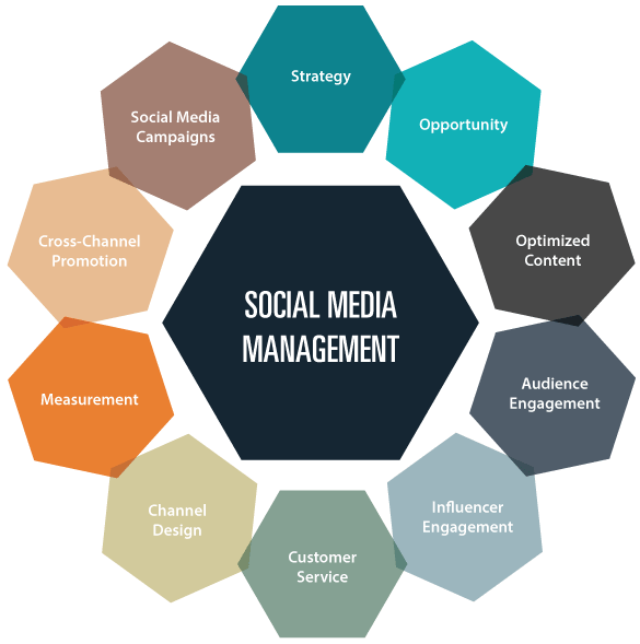 Social Media Management Services, SMM Services, Best Social Media Marketing Agency in Doha