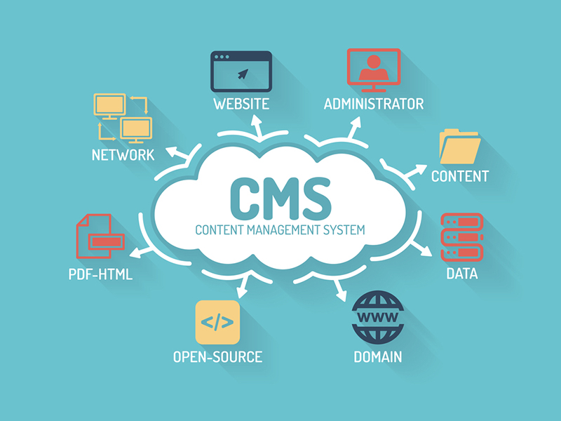 Custom CMS Development Services in Doha - Scalable Content Management Solutions